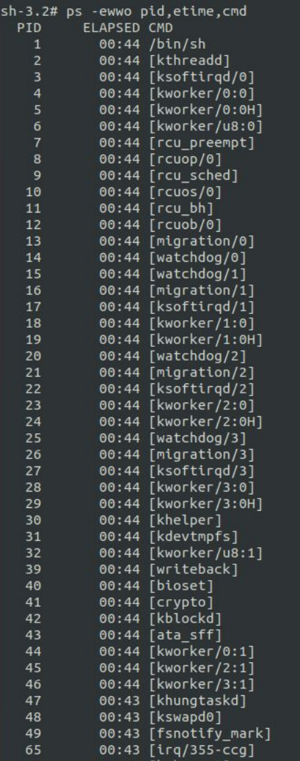 Terminal output showing the shell running before systemd started the device's services
